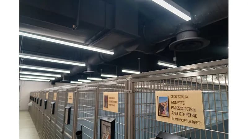 Система DOAS помогает Pet Alliance поддерживать комфорт и качество воздуха в помещениях
