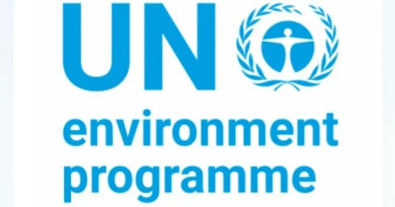 ASHRAE и ООН возобновили совместные усилия в области устойчивого холодильного оборудования